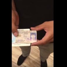 Фокус-покус по-шымкентски. Сожженное на публику водительское удостоверение оказалось целым и невредимым