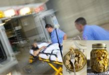 В апреле в ЮКО 11 человек отравились грибами