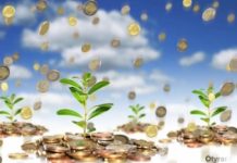 Выгодный Шымкент. Почему город привлекателен для инвесторов?