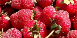 Продавцы шымкентских базаров рассказали о принципах рыночной экономики