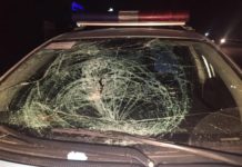 Родители трагически погибшего мужчины простили полицейских