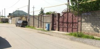 В Шымкенте хозяину собаки-убийцы грозит штраф 10 МРП