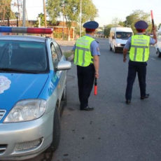 13239296_981898295259843_4378287336186045409_n