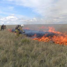 Самые крупные природные пожары в ЮКО и Казахстане