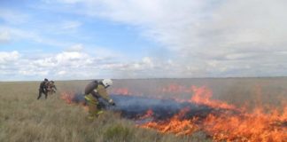 Самые крупные природные пожары в ЮКО и Казахстане