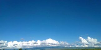 Погода в Шымкенте на 20 мая