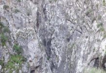 В горах Толебийского района ЮКО погиб спасатель