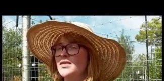 Большие симпатяги бегемоты