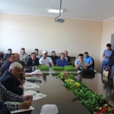 В ЮКО для выращивания кормов внедряют гидропонику