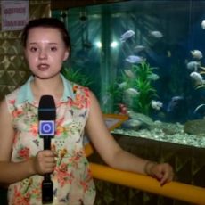 Рыбки успокаивают? «Зоопарк» предлагает провести необычный эксперимент