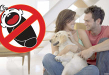 «Чайлдфри». Почему люди отказываются от детей?