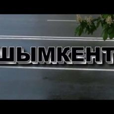 Пользователи казнета показали, как рулит Шымкент
