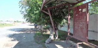 Водитель, совершивший наезд на 9 человек, ранее был лишен прав Девять человек сбила машина на остановке в Шымкенте