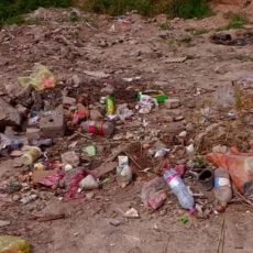 В Казахстане появился сайт для покупки и продажи мусора