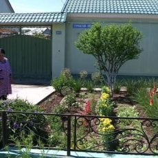 В Шымкенте завершен первый этап конкурса «Таза кала»