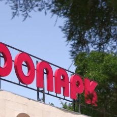 В зоопарке Шымкента восстановят искусственное озеро