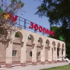 В Шымкентском зоопарке идет ремонт Зоопарк Шымкента