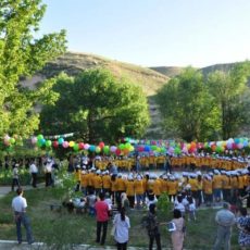 Кто сможет бесплатно отдохнуть в детских лагерях Шымкента