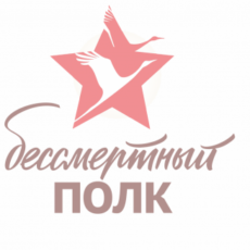 Журавли «Бессмертного полка» летят по миру