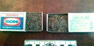 Полицейские Шардары задержали наркосбытчика