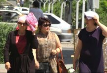 Шымкентцев атаковала мошкара