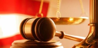 Штраф три миллиона тенге с конфискацией имущества грозит лесничему в ЮКО