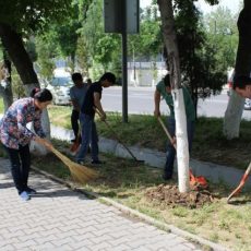 Туркестанская область — лучшая в организации программы «Таза Қазақстан» в стране