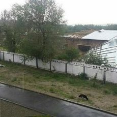 Штормовое предупреждение