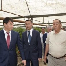 Новый уровень развития Сарыагашского района