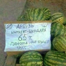 Арбузы, которые не навредят здоровью, предлагают на рынках Шымкента арбузы