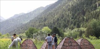 В ЮКО появится палаточный городок