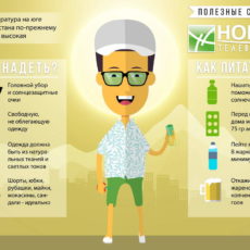 Правила жизни в жару (инфографика)
