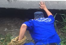 В коммунальных квитанциях жителей Шымкента появится новая графа