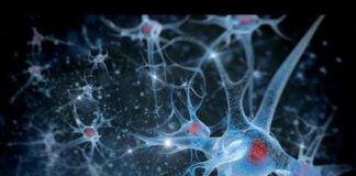 Кто становится пациентом нейрохирурга?