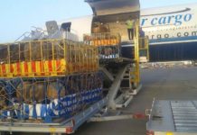 ЮКО экспортирует мясо в Арабские Эмираты