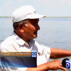 В ЮКО возрождают озеро Кызылколь