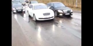 Очередной свадебный кортеж возмутил шымкентцев