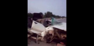 Два человека погибли в результате ДТП на трассе Шымкент-Термез