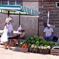 В Шымкенте разрешена продажа бахчевых, завезенных после 20 июня