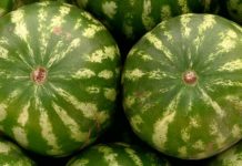 На трассе Алматы-Бишкек перевернулся грузовик с арбузами