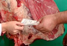 Мясо на базарах Шымкента продается под строгим контролем ветврачей