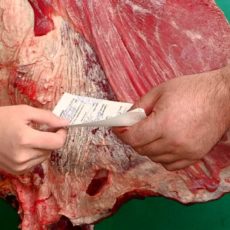 В Шымкенте продолжается рост цен на мясном рынке
