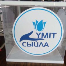 У южноказахстанских детей с ДЦП есть шанс на излечение
