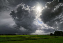 Дожди с грозами обещают синоптики Небо перед грозой