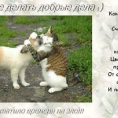 Всенародный день доброты предлагают провести в Казахстане