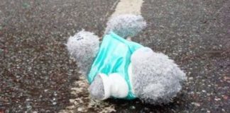 40% детей, пострадавших с начала года в ДТП — пассажиры автотранспорта