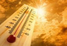 40-градусная жара придет в Шымкент на этой неделе