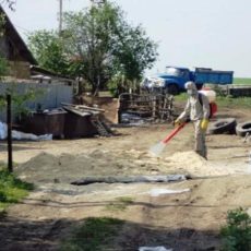 Все о сибирской язве (инфографика)
