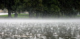 О неблагоприятных условиях погоды в Шымкенте предупреждает служба ЧС Сильный дождь. Ливень