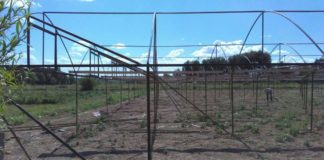 Как получить кредит по-умному